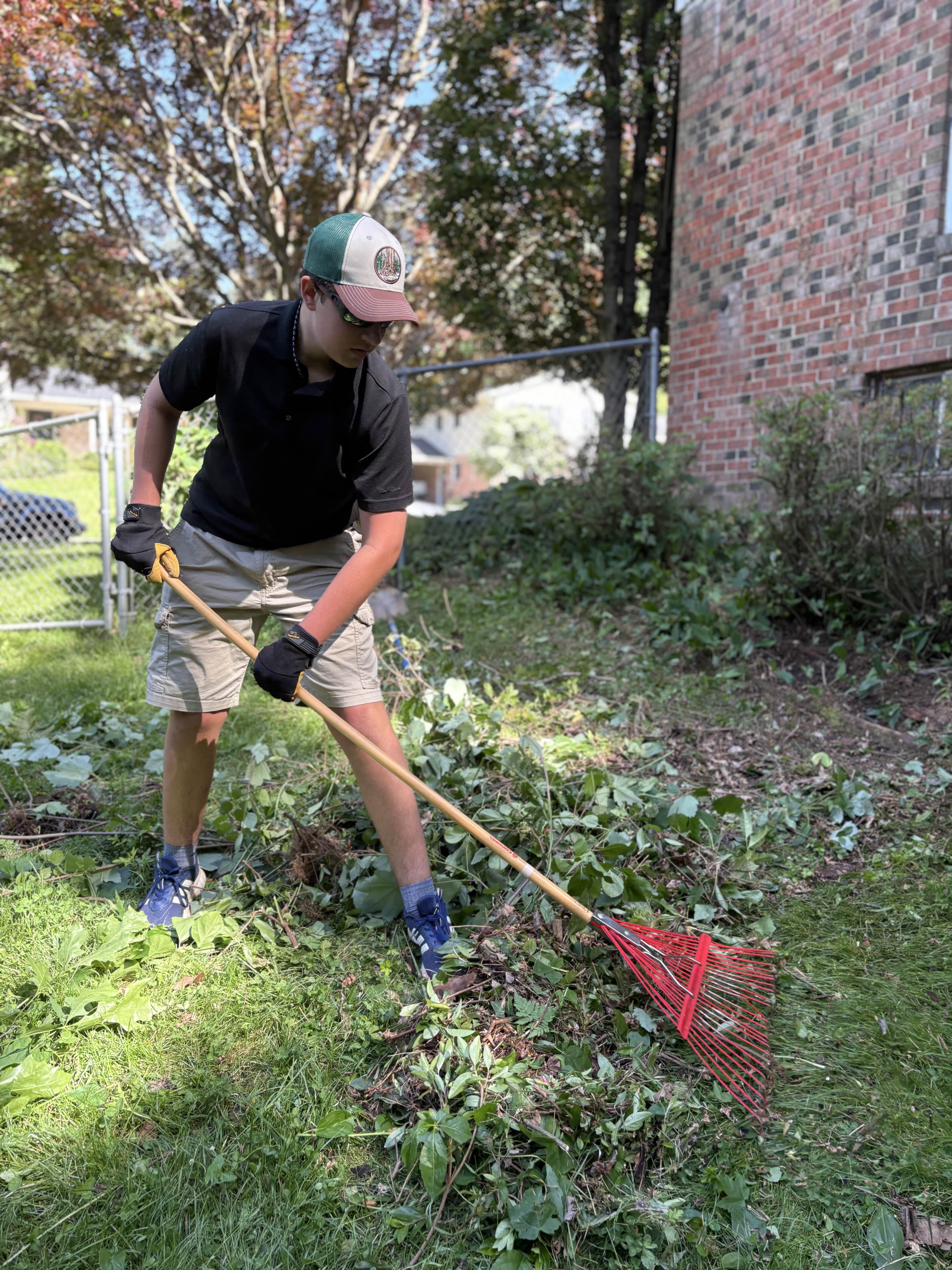 Landscaping work 2